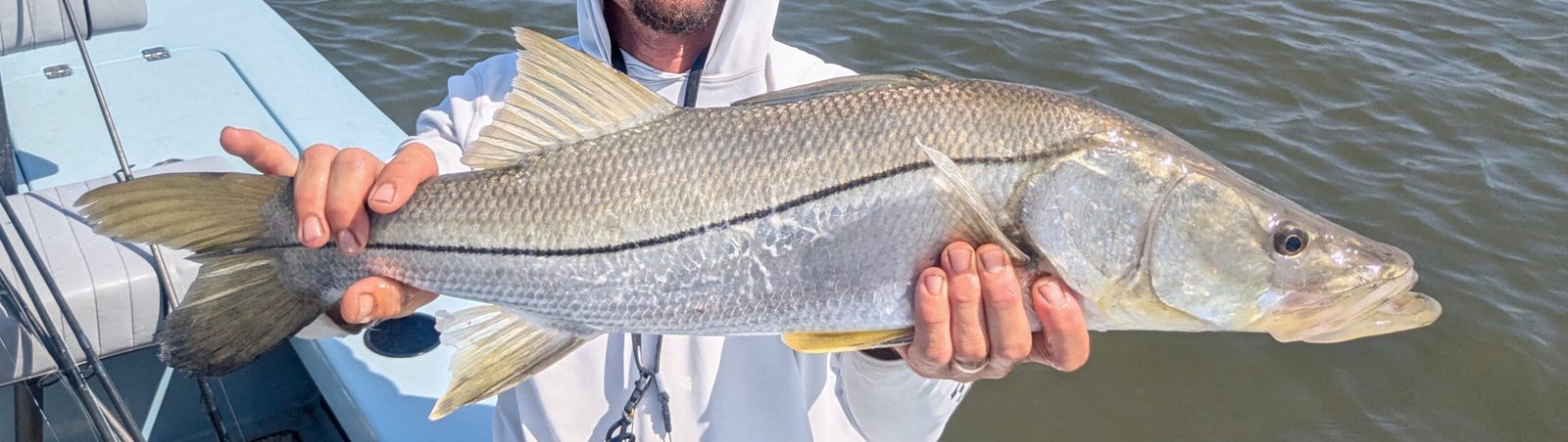 fishpic3